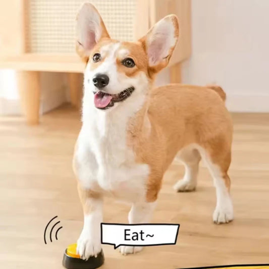 Recordable Talking Buttons for Dogs | Interactive Training Toy