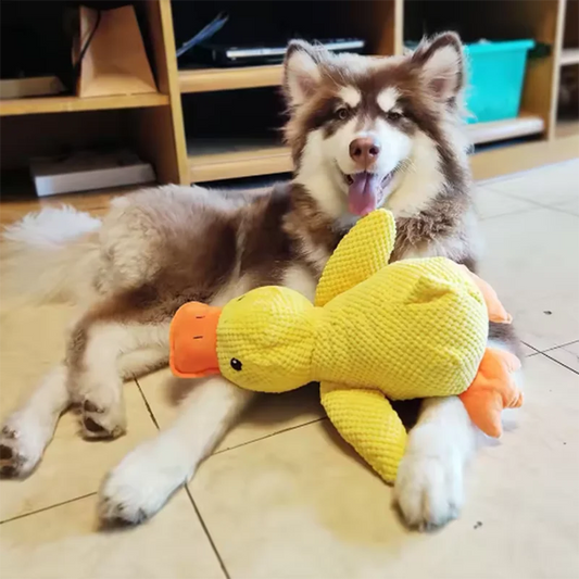 Interactive Plush Duck Dog Toy | Bite-Resistant & Teeth Cleaning