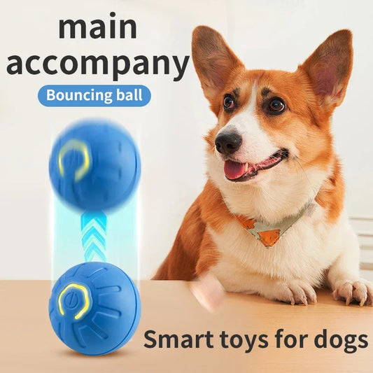 Smart Interactive Pet Ball | USB Rechargeable Automatic Bouncing Toy