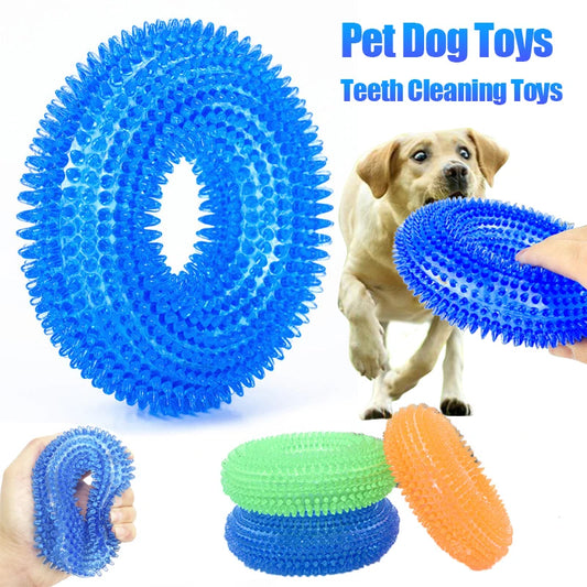 Squeaky TPR Dog Chew Toy | Bite Resistant & Teeth Cleaning